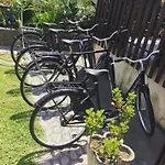 Dei Fiori