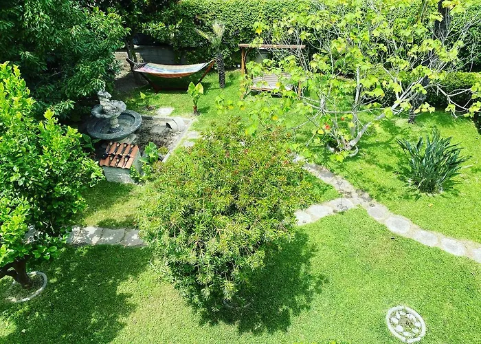 Dei Fiori SantʼEufemia Lamezia