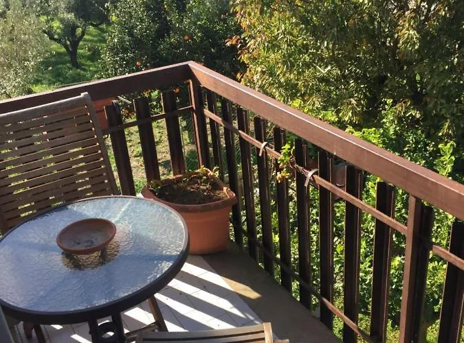 Dei Fiori SantʼEufemia Lamezia