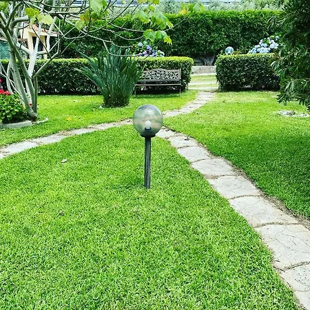 Dei Fiori 4* SantʼEufemia Lamezia