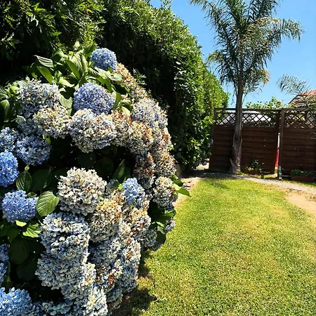 Bed & Breakfast Dei Fiori SantʼEufemia Lamezia