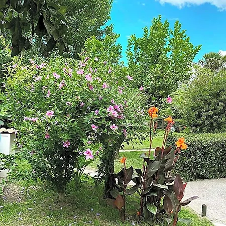 Dei Fiori Couette-café SantʼEufemia Lamezia