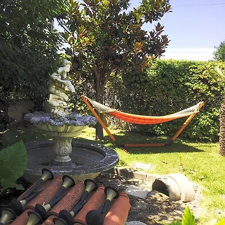 Bed and Breakfast Dei Fiori