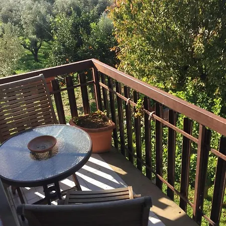 Dei Fiori SantʼEufemia Lamezia