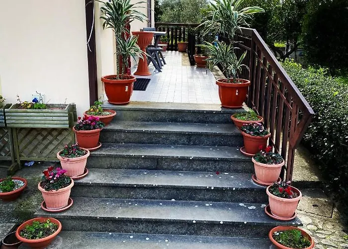 Bed & Breakfast Dei Fiori SantʼEufemia Lamezia