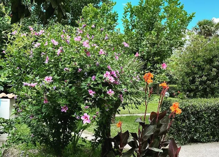 Dei Fiori Bed & Breakfast 4*