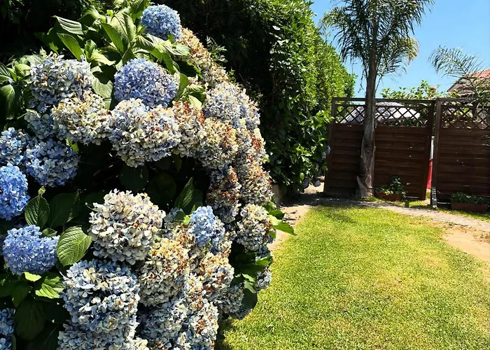 Bed & Breakfast Dei Fiori SantʼEufemia Lamezia