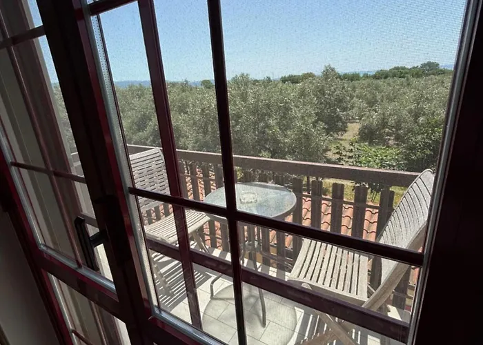 Dei Fiori SantʼEufemia Lamezia